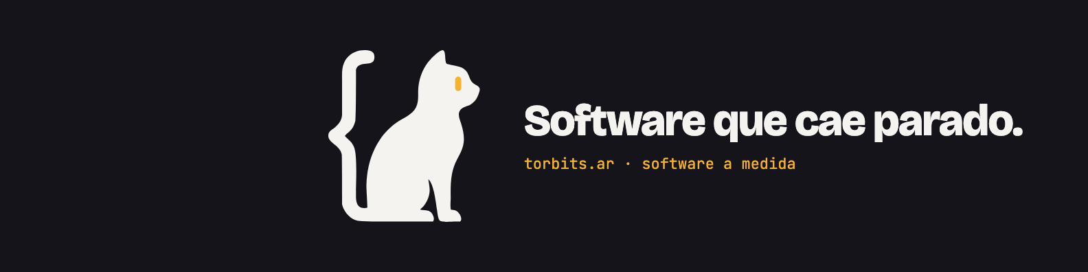 Portada de LinkedIn: el gato y la frase Software que cae parado